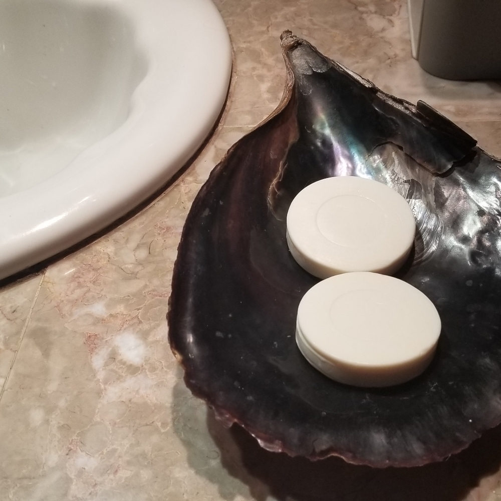 Shell - Picture 4 of 8